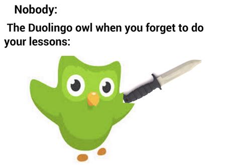 duolingo meme|Iba pa.